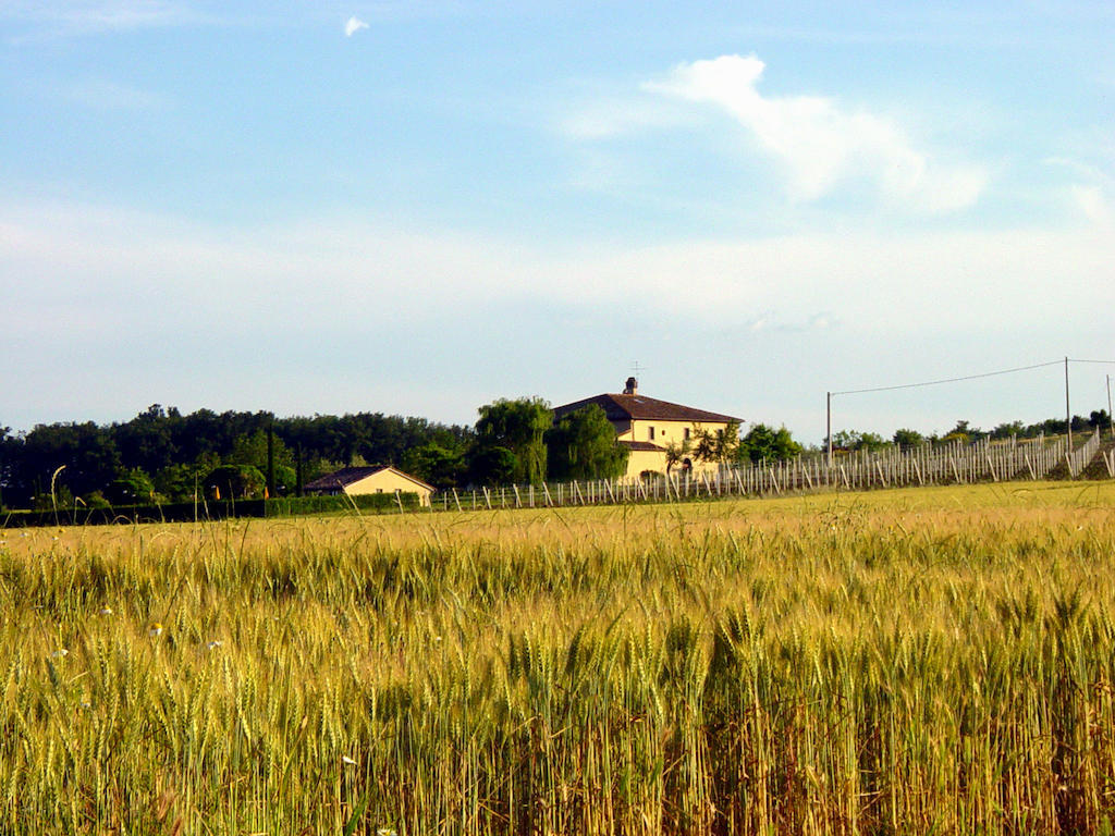 Agriturismo Verbena Castiglione del Lago Exterior photo